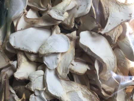 Dried King Trumpet Mushrooms Sale