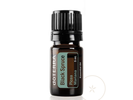 Black Spruce Essential Oil | dōTERRA Online Hot Sale