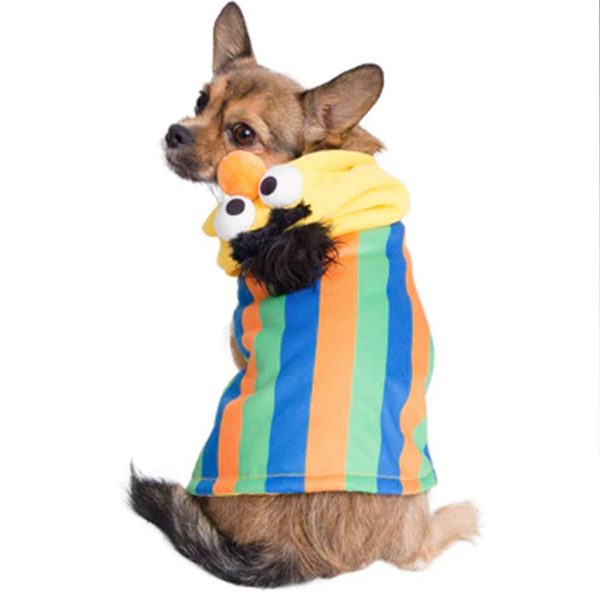 Pet Krewe Bert Costume Online