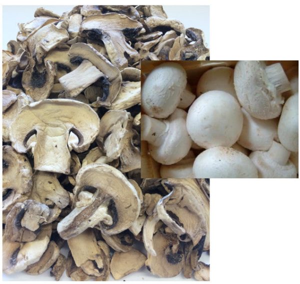 Dried Organic USA Champignon Mushrooms For Cheap