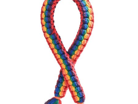 Jax & Bones Rainbow Tug Rope Dog Toy on Sale