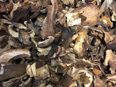 Dried Organic Porcini European Mushrooms (bulk) For Discount