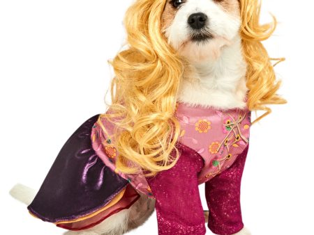 Rubie s Hocus Pocus Sarah Pet Costume Online now