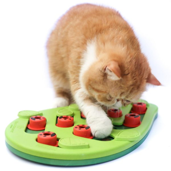 Nina Ottosson Buggin Out Puzzle Cat Toy For Sale