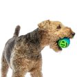 Guru Pocket Ball Dog Toy For Sale