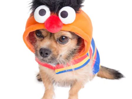 Pet Krewe Ernie Costume For Cheap