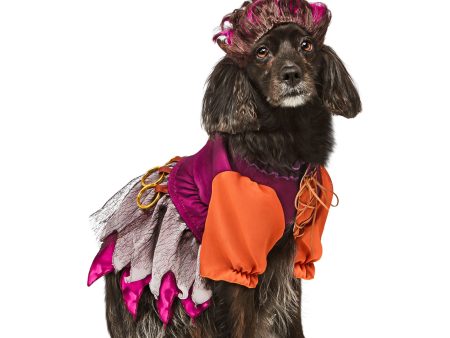 Rubie s Hocus Pocus Mary Pet Costume For Cheap