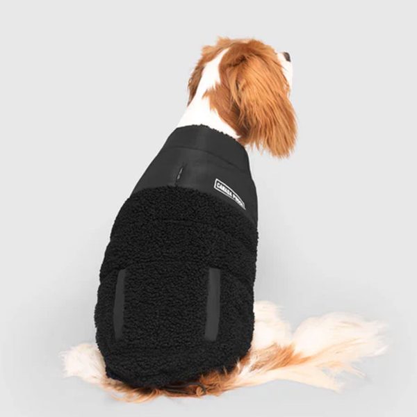 Canada Pooch Cool Factor Puffer Jacket - Black For Sale