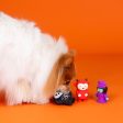 Fringe Fright this Way Dog Toys Online now