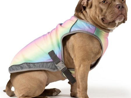 Canada Pooch Chill Seeker Rainbow Cooling Dog Vest For Sale