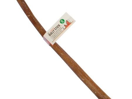 MIND BODY BOWL 12  Bully Stick Dog Chew - Large Hot on Sale