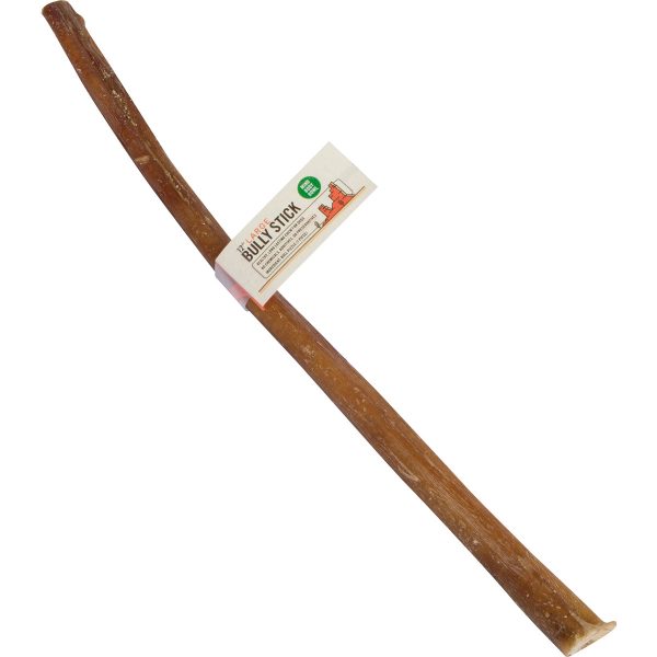 MIND BODY BOWL 12  Bully Stick Dog Chew - Large Hot on Sale