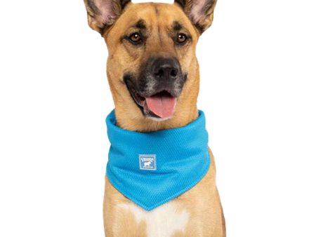 Canada Pooch Cooling Blue Dog Bandana on Sale