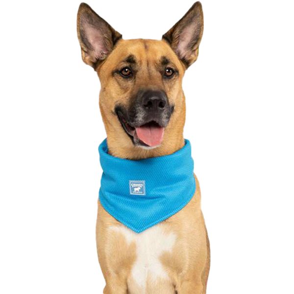 Canada Pooch Cooling Blue Dog Bandana on Sale