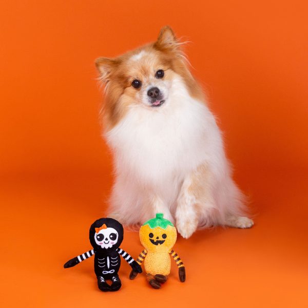 Fringe Oh My Gourd Dog Toys Online now