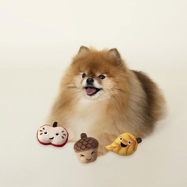 Fringe Fall for You Dog Toys - 3 Pack on Sale