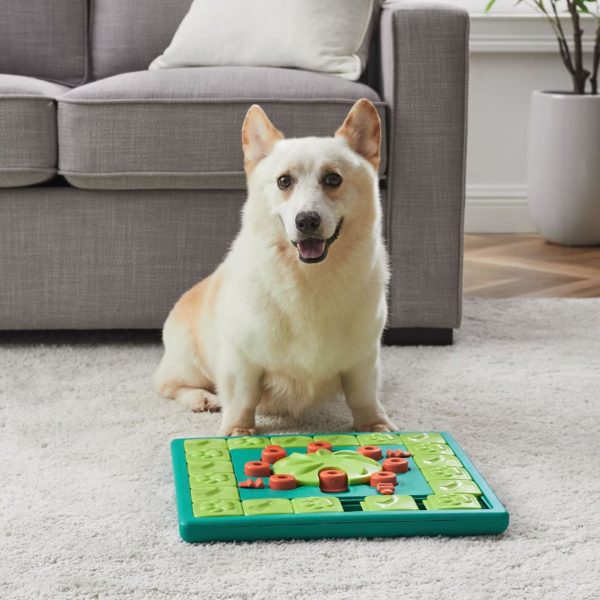 Nina Ottosson Multipuzzle Dog Toy - Green & Blue Online Hot Sale