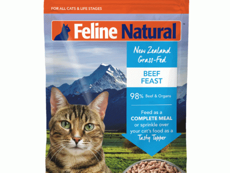 Feline Natural Freeze-Dried Beef Cat Food - 11 oz For Discount