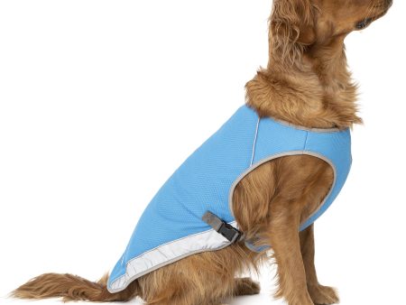 Canada Pooch Chill Seeker Aqua Cooling Dog Vest For Cheap