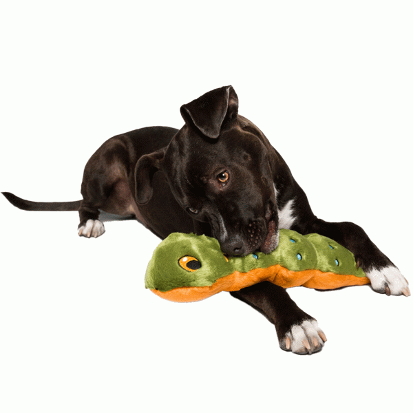 Fluff & Tuff Katie Caterpillar Dog Toy For Sale