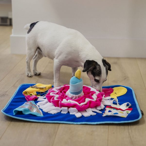 P.L.A.Y. Celebration Snuffle Mat Online