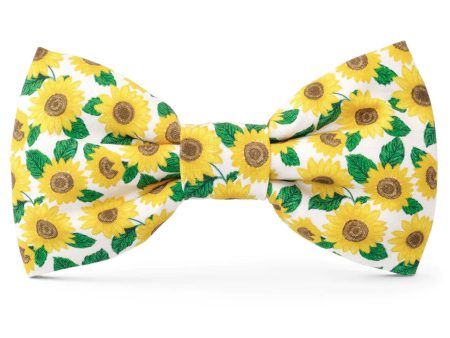 The Foggy Dog Bowtie - You Are My Sunshine Supply