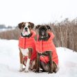 GF Pet ElastoFit Nordic Parka InFiber Tech - Cayenne on Sale