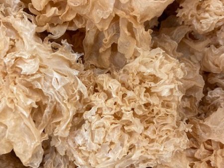 Dried Organic  Eastern Cauliflower  or  Snow  Mushrooms (Tremella fuciformis) Online Sale