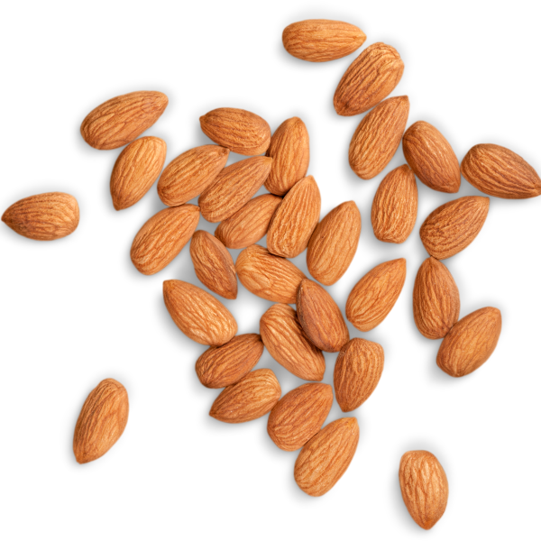 Organic Activated Almonds | 2DIE4 LIVE FOODS Discount