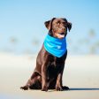 Canada Pooch Cooling Blue Dog Bandana on Sale