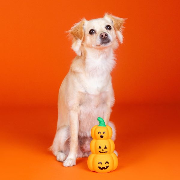 Fringe Go Big or Gourd Home Dog Toys Online now