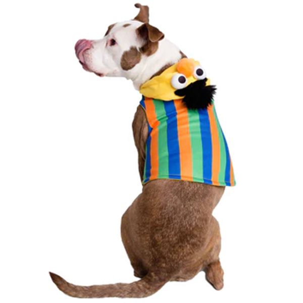 Pet Krewe Bert Costume Online