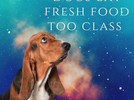 x3. Courses - Dogs Eat Fresh Food Too Class Online Sale