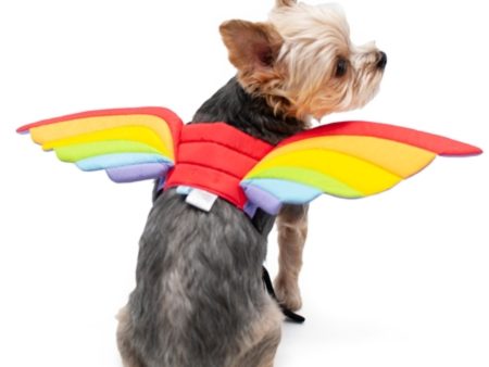 Dogo Pet Fashions Rainbow Wings Dog Costume Cheap