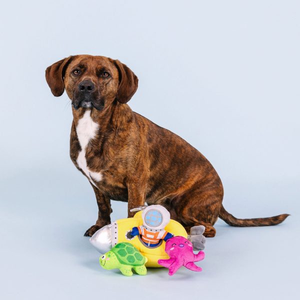 Fringe Into the Deep Burrow Dog Toys For Sale