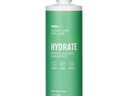 Healthy Spot Signature Spa Hydrate Shampoo For Dogs - 17oz Online now