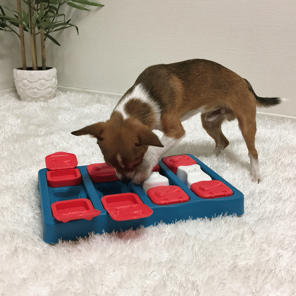 Nina Ottosson Intermediate Brick Dog Puzzle Sale