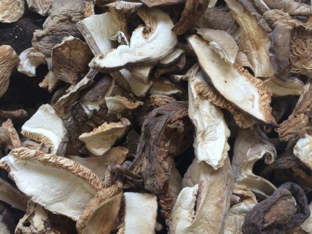 Dried Forest Blend: Slippery Jack, Shiitake, Porcini, Oyster (bulk) Online now