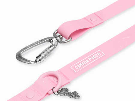 Barbie™ Waterproof Leash - Pink Discount