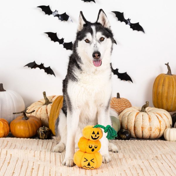 Fringe Stack-o-Lantern Dog Toy For Sale