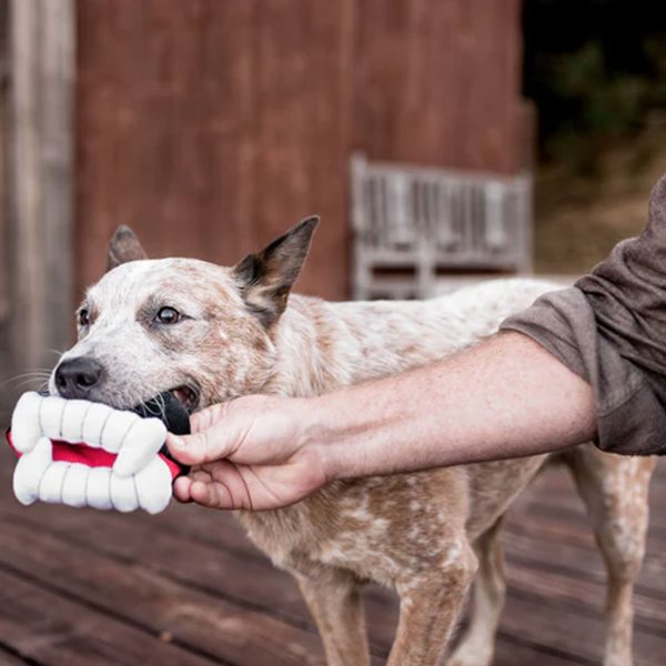 P.L.A.Y. Howling Haunts Barky s Bite Plush Dog Toy For Sale