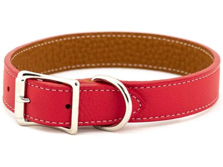 Auburn Leathercrafters Tuscan Collar - Bright Red Fashion