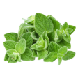 Oregano *TGA Essential Oil | dōTERRA For Sale