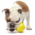 Guru Tennis Treat Ball Dog Toy Discount