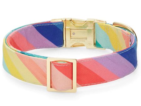 The Foggy Dog Collar - Over the Rainbow Sale