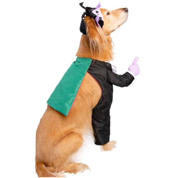 Pet Krewe The Count Costume Online now