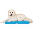 Canada Pooch Chill Out Blue Cooling Mat Supply