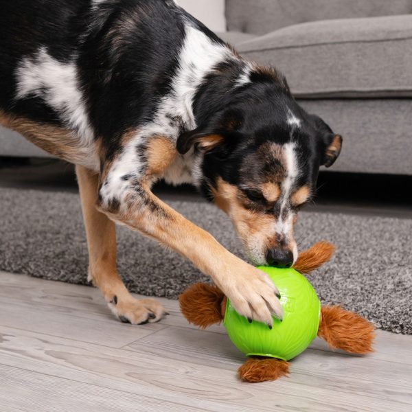 Nina Ottosson Snuffle Treat Ball Dog Toy Sale