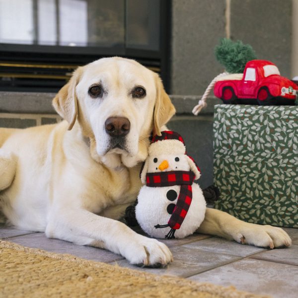 P.L.A.Y. Holiday Snowman Dog Toy Sale