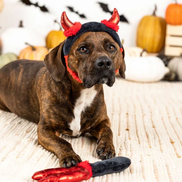 Fringe Cute Lil Devil Dog Toys Online Hot Sale